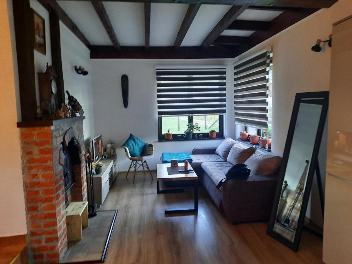 Drinski Oganj Kuca Za Odmor Bajina Basta Exterior foto