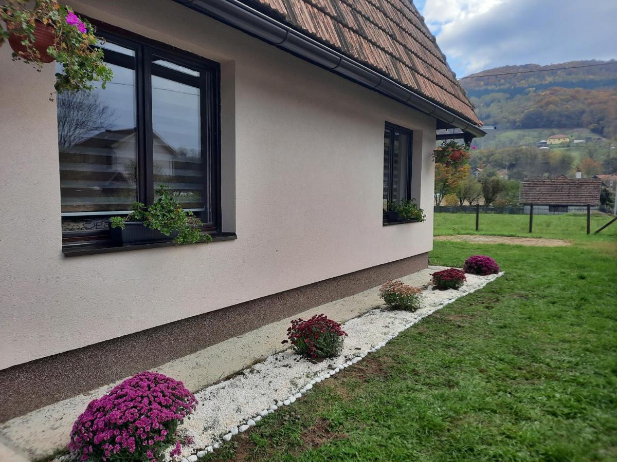 Drinski Oganj Kuca Za Odmor Bajina Basta Exterior foto