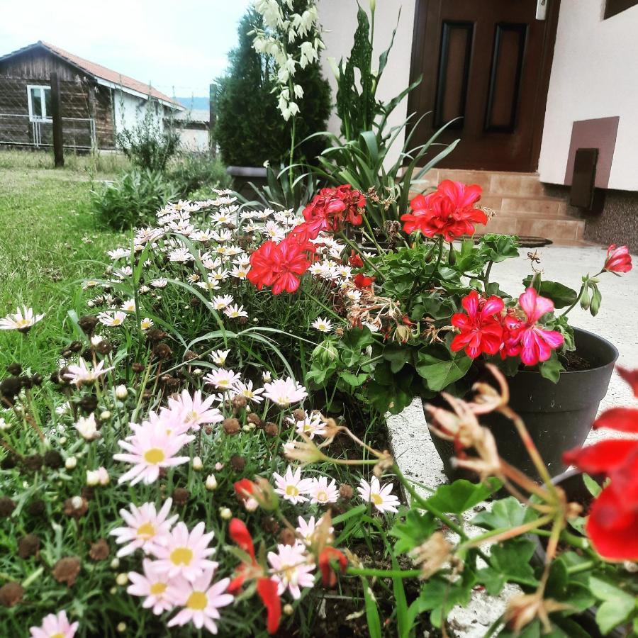 Drinski Oganj Kuca Za Odmor Bajina Basta Exterior foto